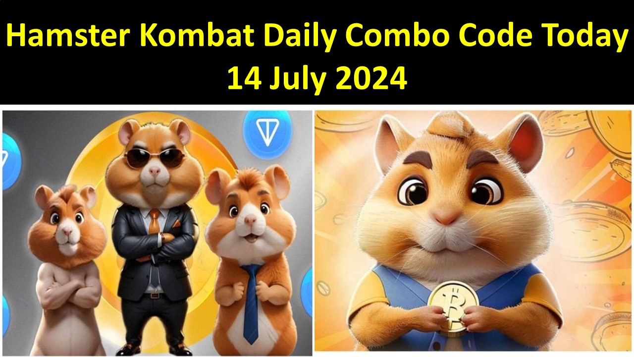 Hamster Kombat Daily Combo Code Today 14 July 2024