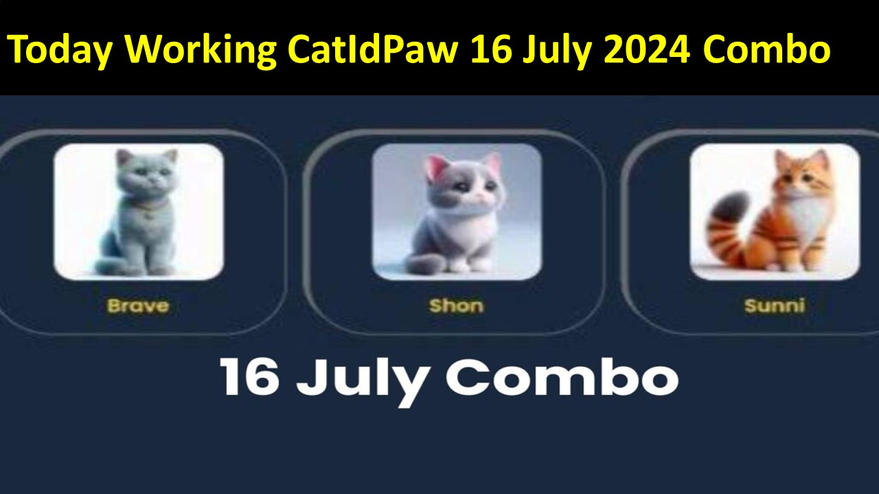 Today Working CatIdPaw 16 July 2024 Combo